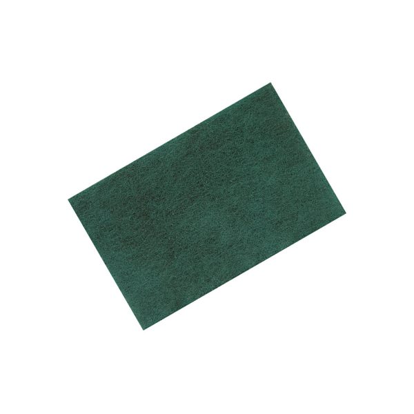 A green rectangular scouring pad.